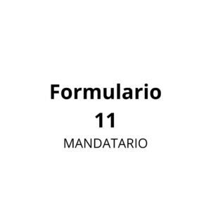 Formulario 11 (Mandatario)
